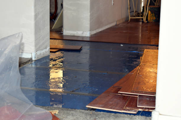 Professional Water Damage Restoration technician working in Bonita Springs, FL